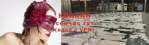 твердый Армянск