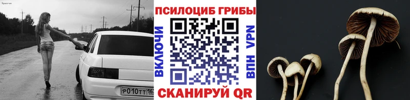 Псилоцибиновые грибы мухоморы  Валуйки 